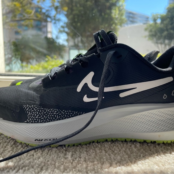 Nike Pegasus 39 Shield - Picture 3 of 5